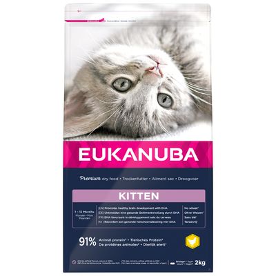 alimentation maine coon eukanuba