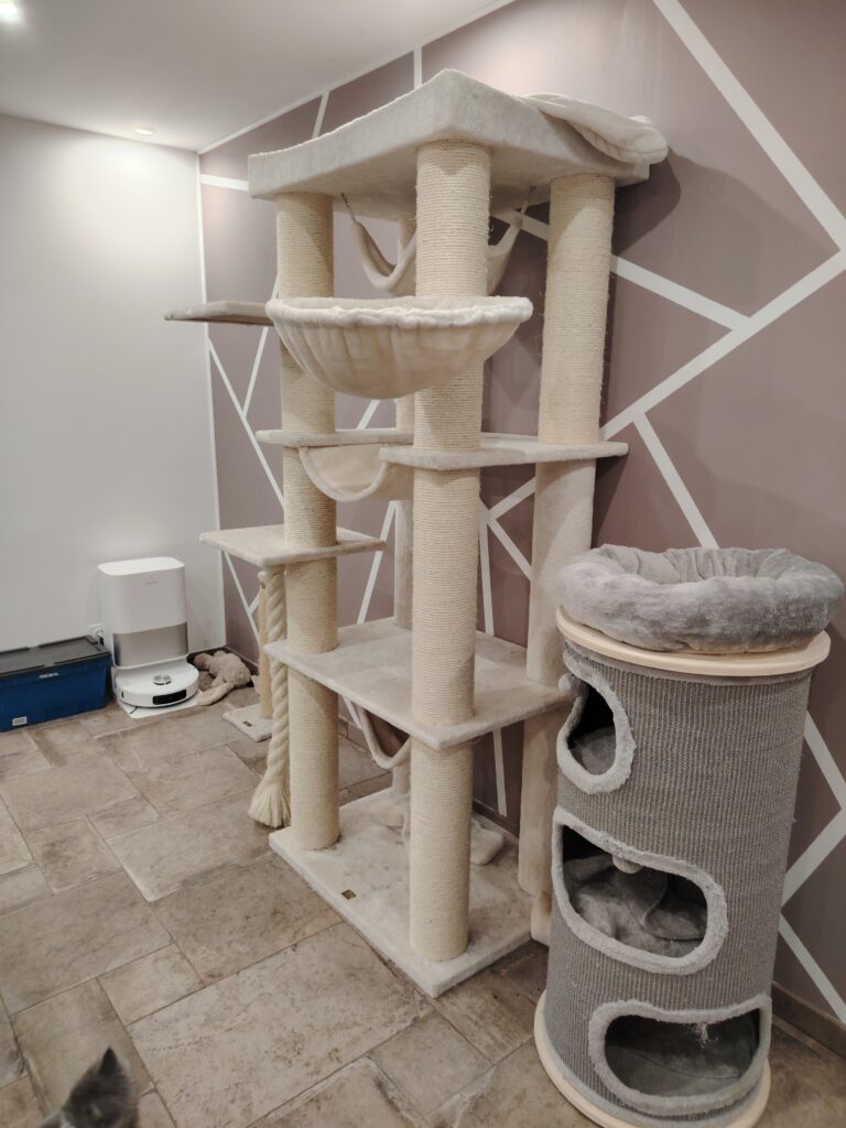 levage chat morbihan