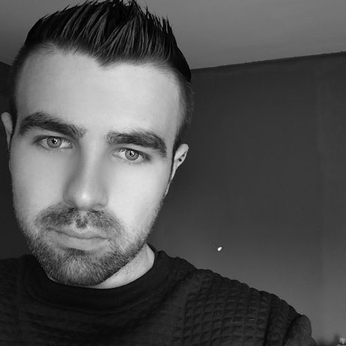 maine coon ragdoll morbihan