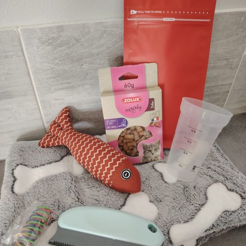 kit chaton chatterie des roses de velours